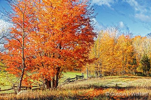 Autumn Landscape_29423.jpg - Photographed near Maberly, Ontario, Canada.